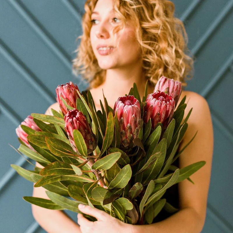 The Protea Flower Meaning: A Prehistoric Flower of Strength, Beauty, and Grace - Thursd Article