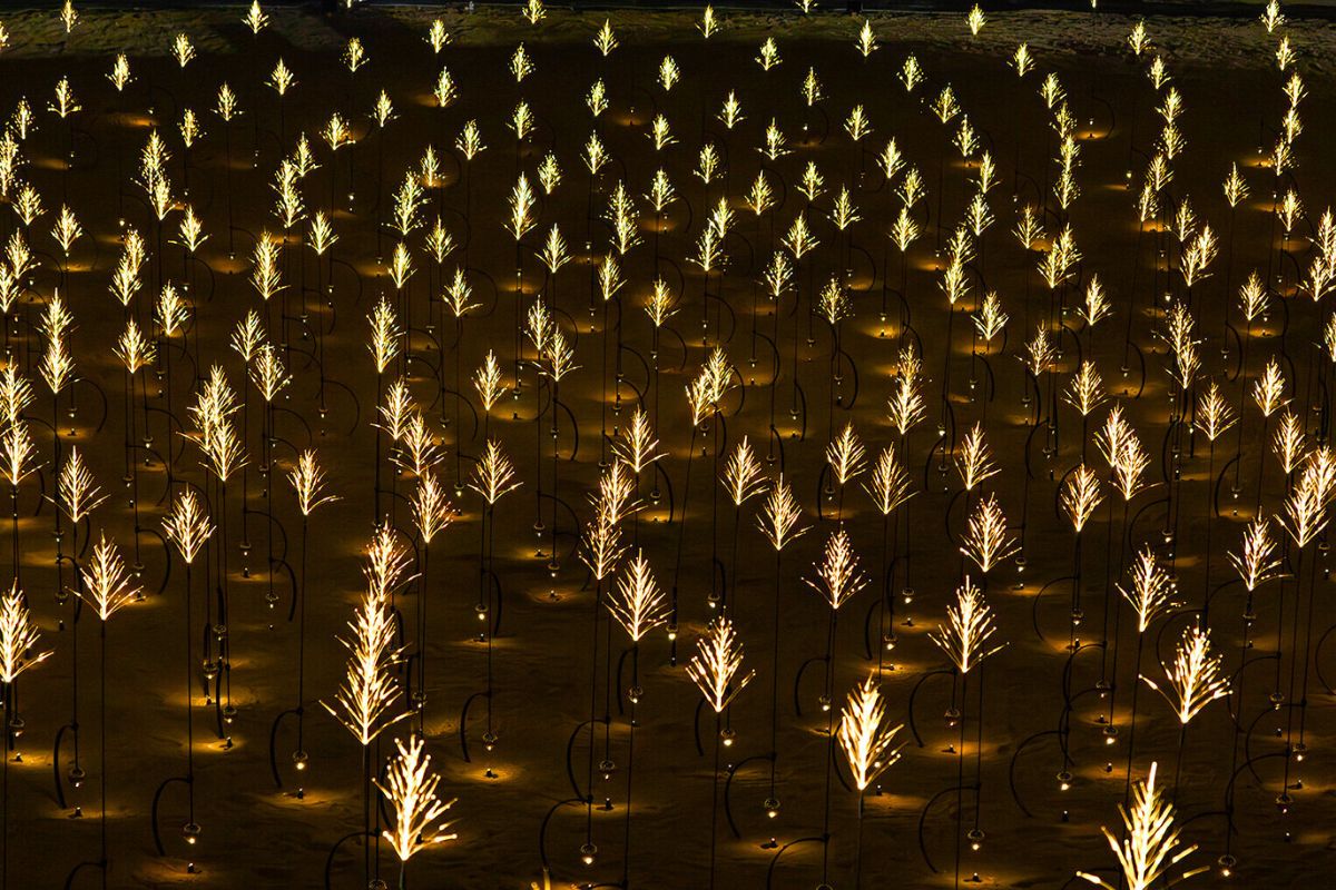 Little tree like figures by Studio Drift