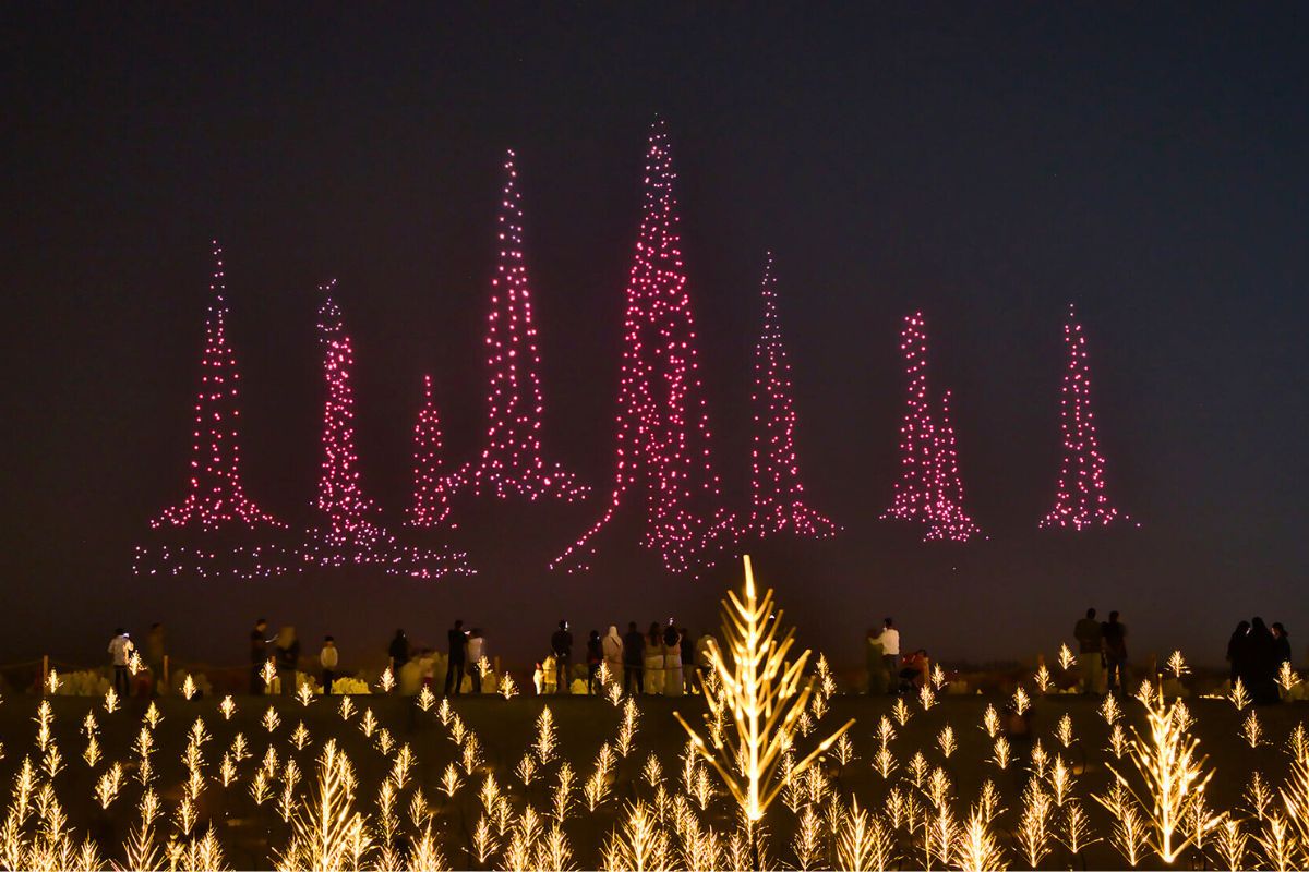 Seedlings growing into the air