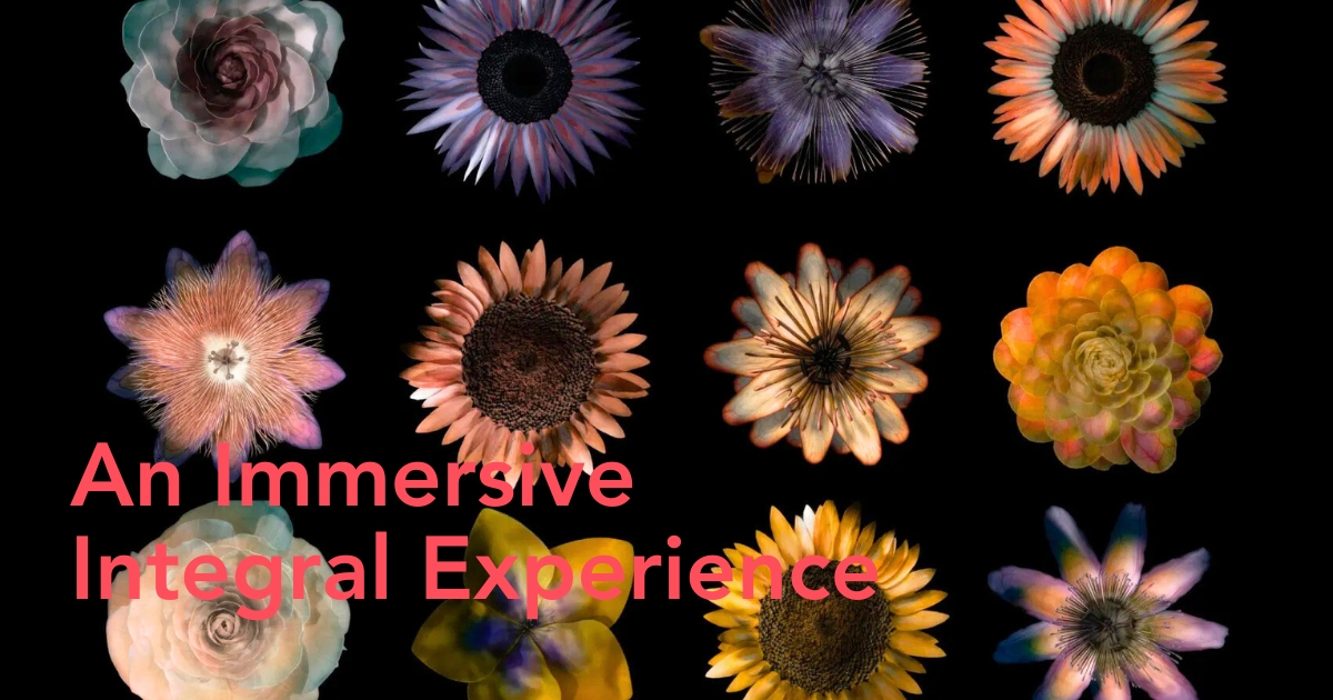 Immersive experience by DRIFT