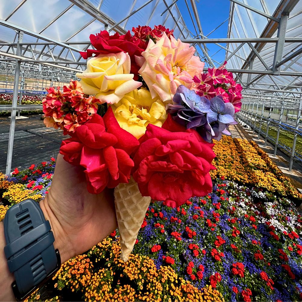 Creative Soil: How Floriculture Can Lead the Way Out of Our Collective Creativity Crisis