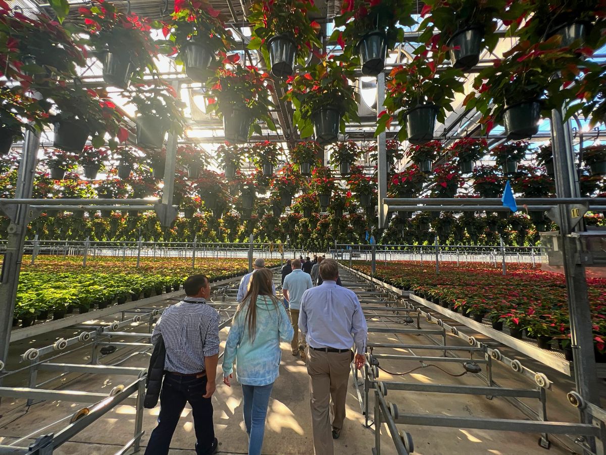 Greenhouse flower cultivation Creative Soil: How Floriculture Can Lead the Way Out of Our Collective Creativity Crisis