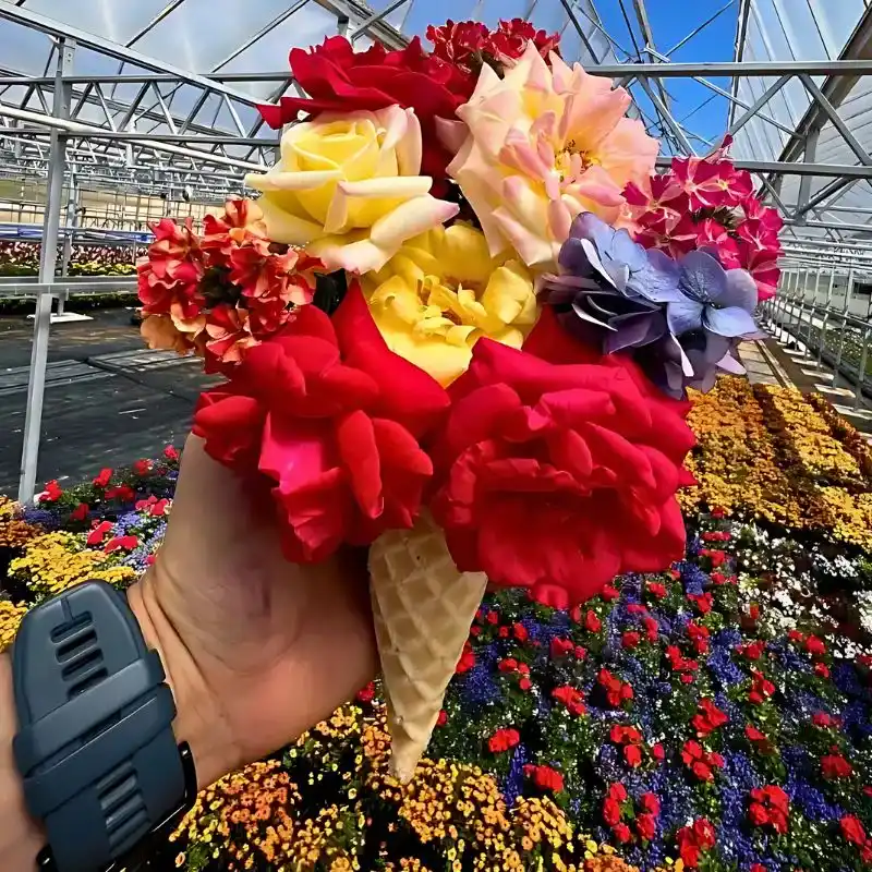 Creative Soil: How Floriculture Can Lead the Way Out of Our Collective Creativity Crisis