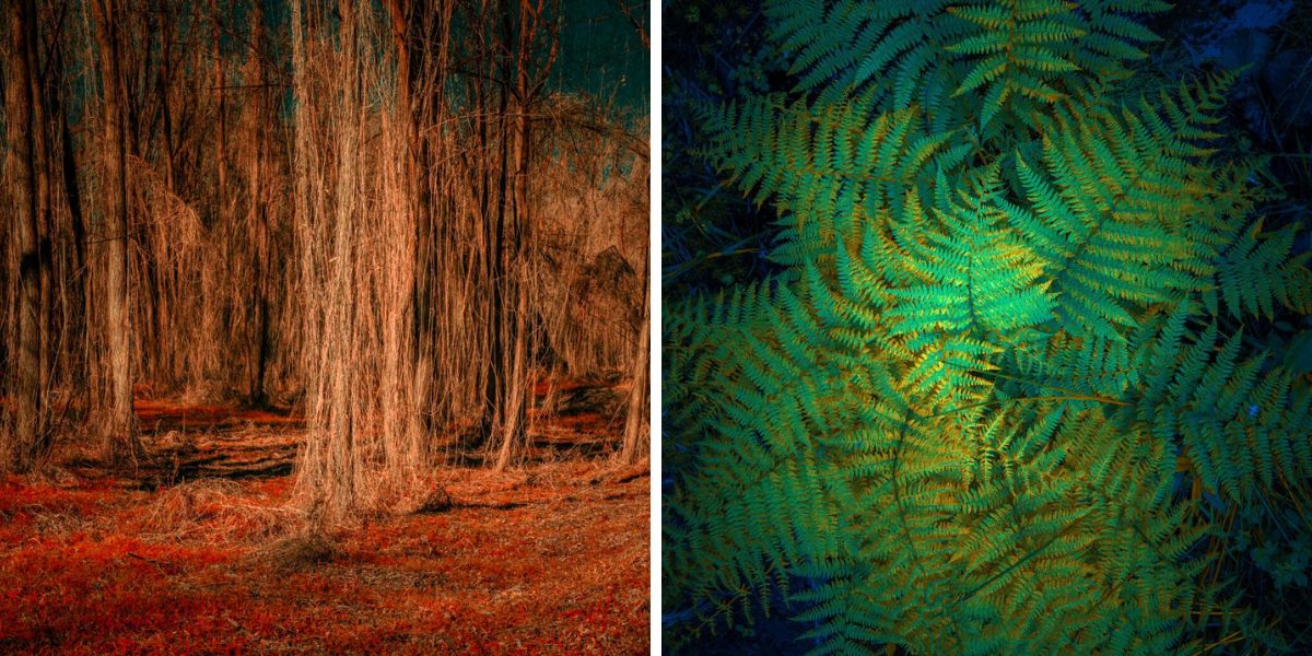 Orange and green hues in Michelle Blanckes work