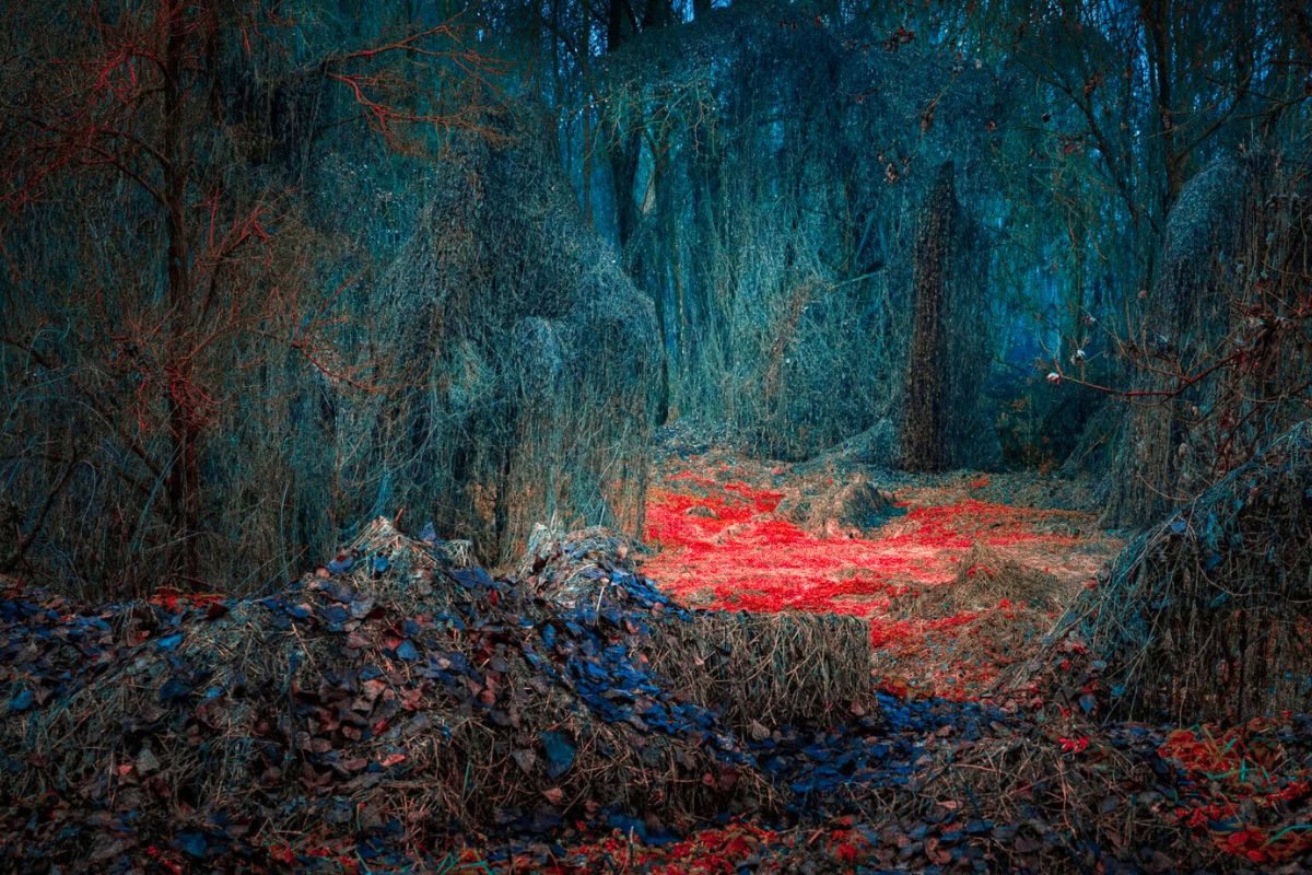 Forest with neon colors