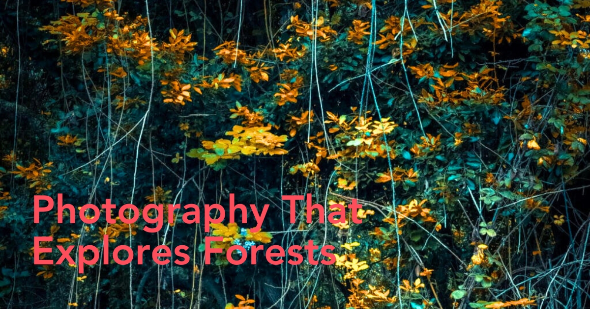 Michelle Blancke photography