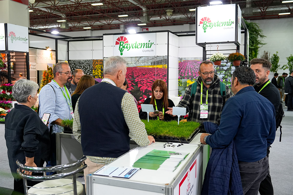 LIF 2025 people discussing about grass