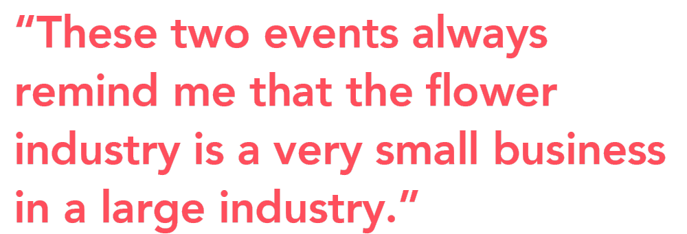 William Williee Armellini IFTF TFA quote