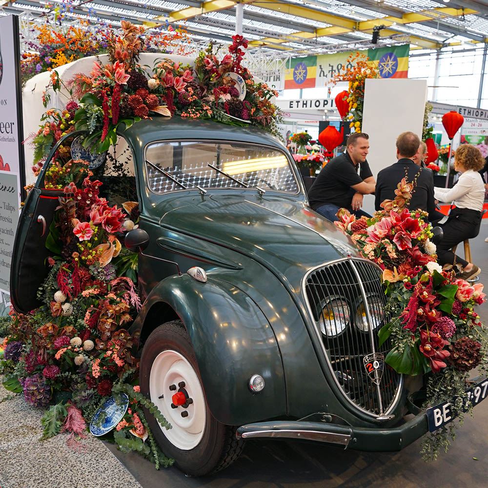 IFTF 2025 Holex booth