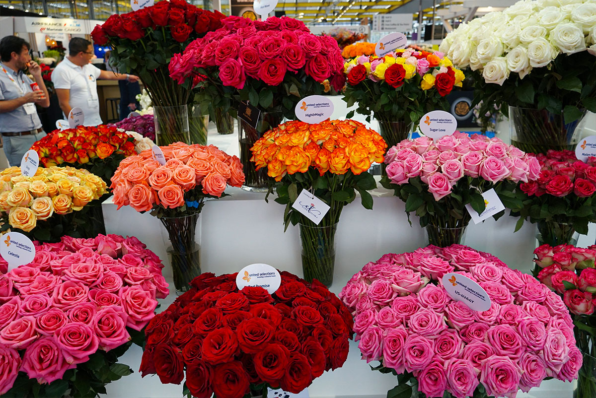 IFTF 2025 United Selections roses booth