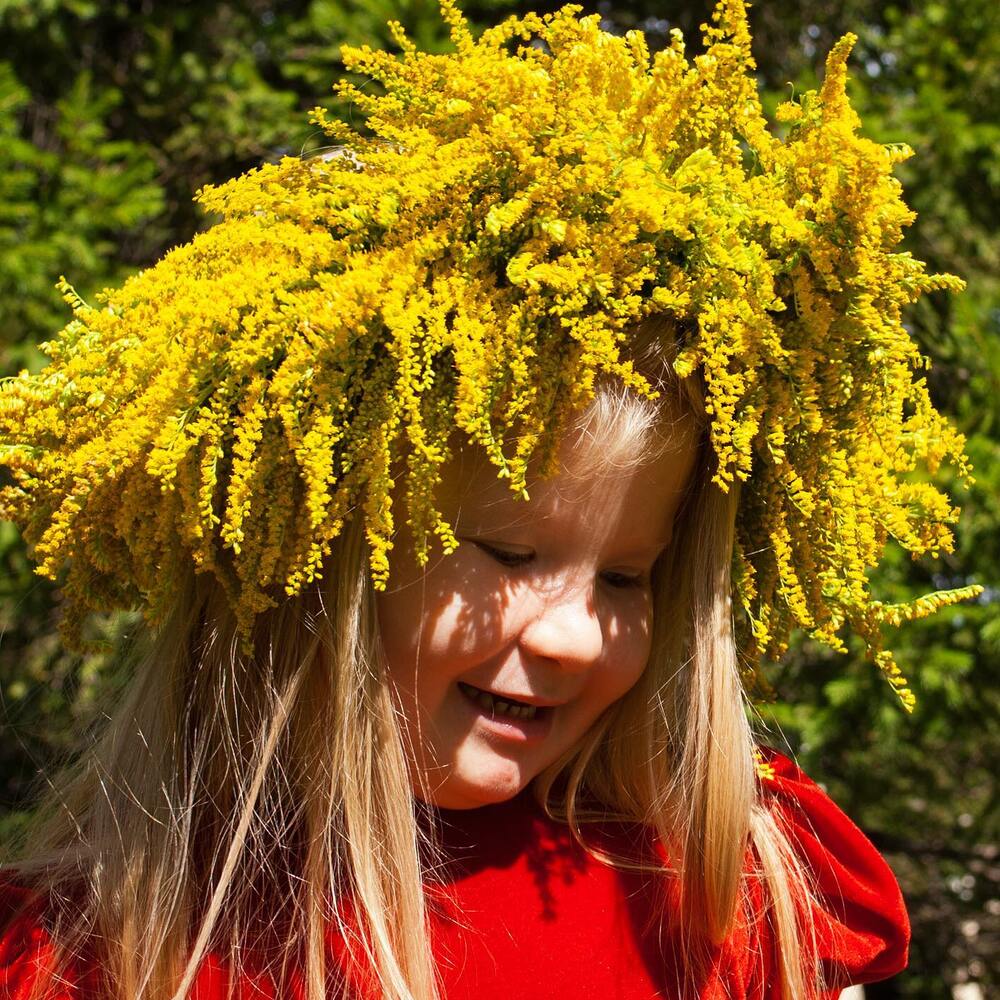 Baby with goldernod tiara