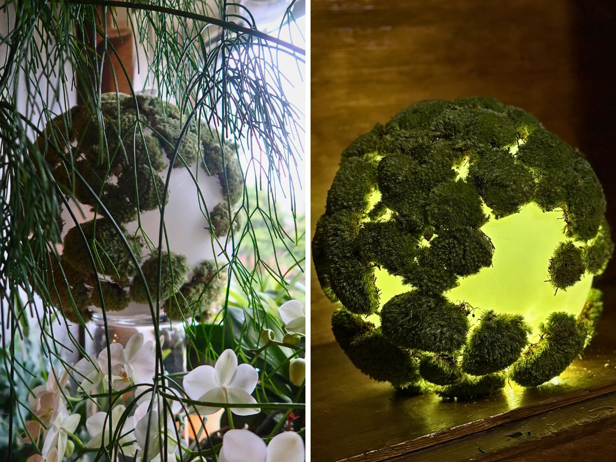 Anu Peri Experiences the Beauty of Adomex Greens in Designs in Estonia