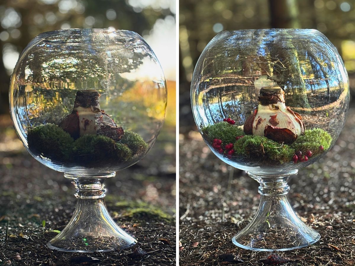 Anu Peri Experiences the Beauty of Adomex Greens in Designs in Estonia