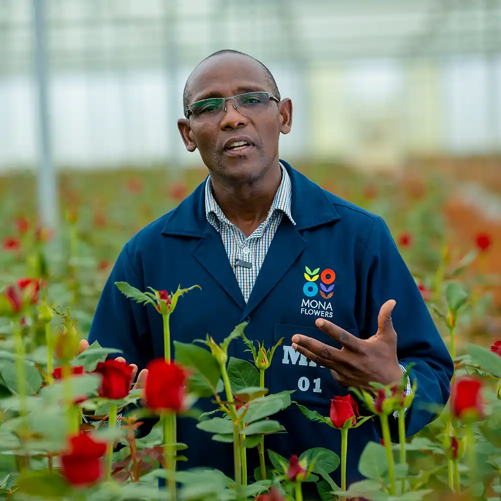 Mona Flowers Grower on Thursd feature