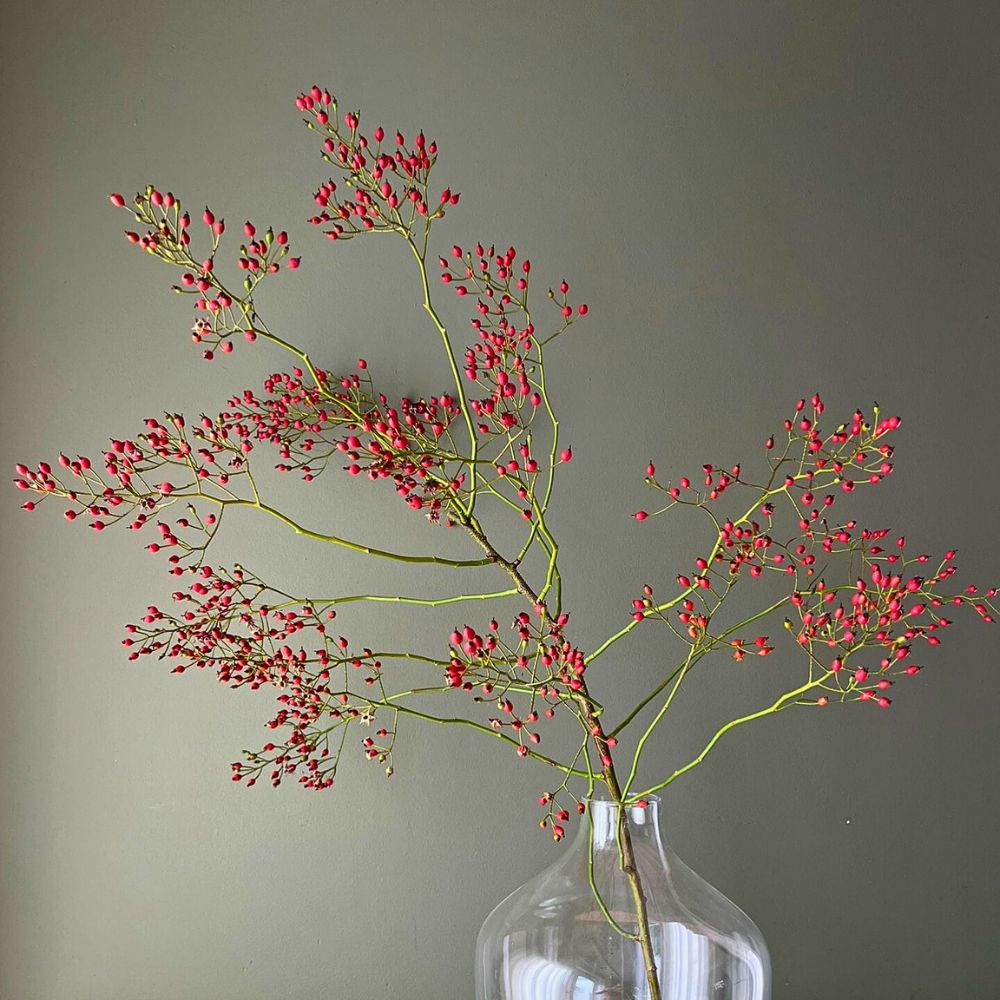 Rosefruits – The Innovation Behind These Specialized Rosehips