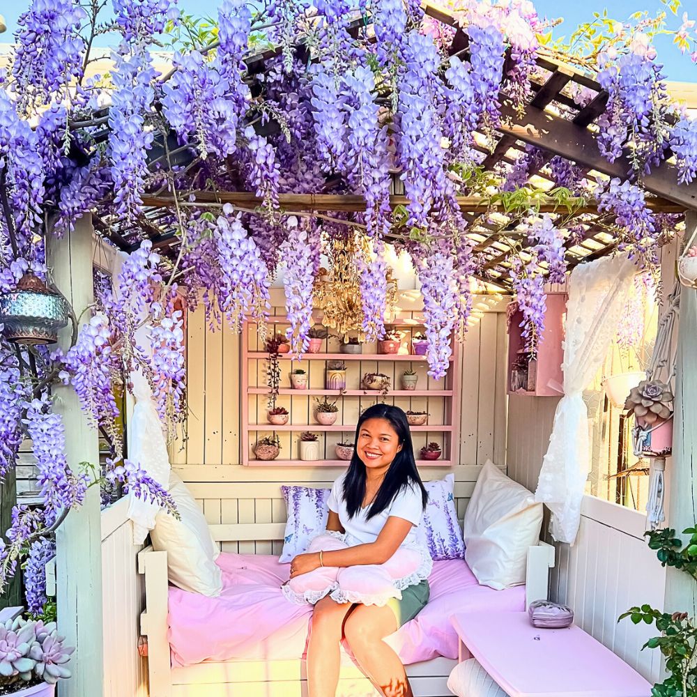 Wisteria flower meaning