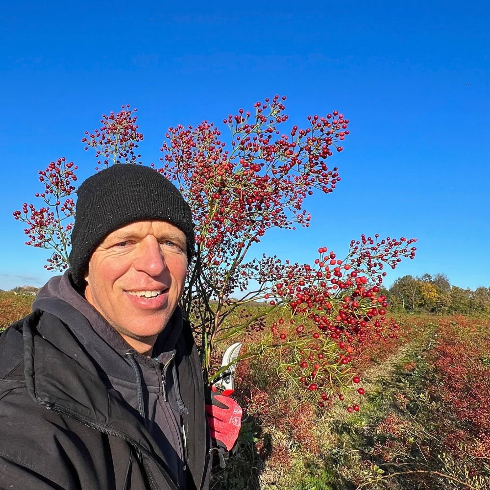 Coloriginz and rosefruits.nl Sourcing Quality Rosefruits from Serbian Fields.