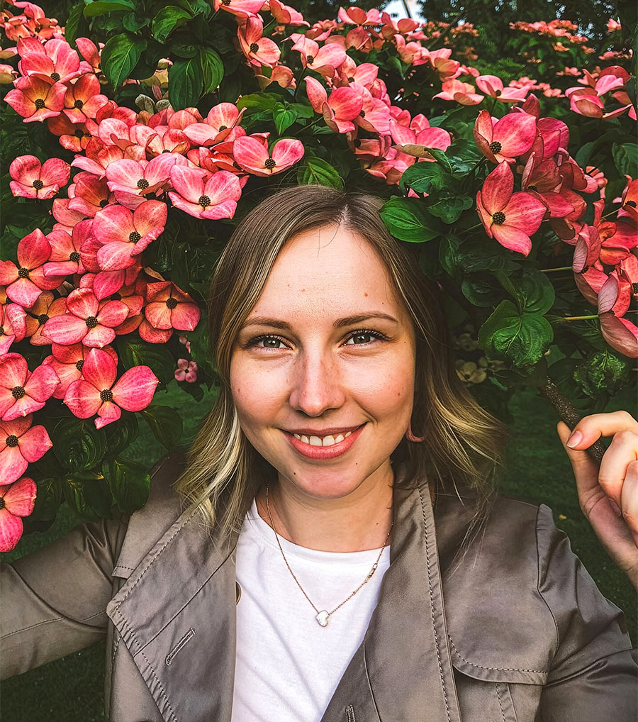 State flower North Carolina dogwood by Tanya