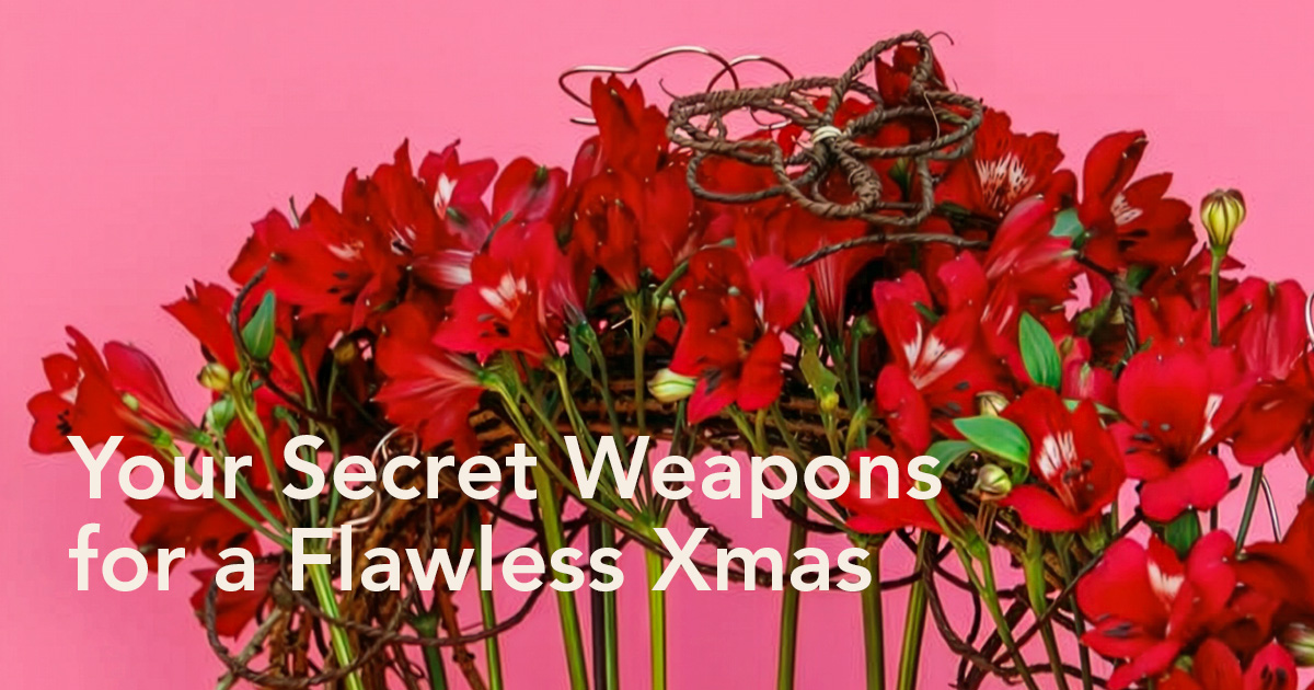 Tesselaar Alstroemeria Noize Christmas